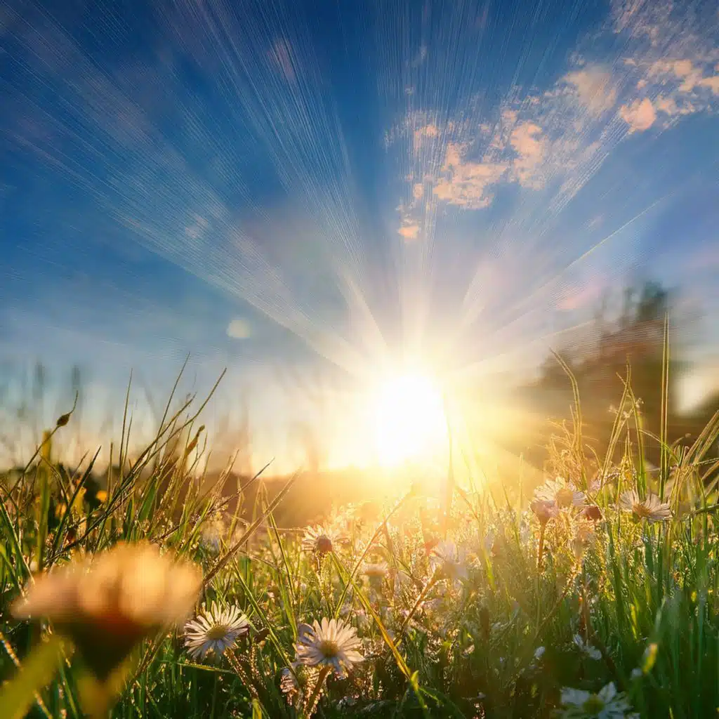 Music For Resting Beneath The Endless Canopy Of Light