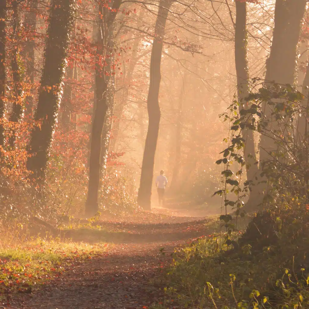 Run now