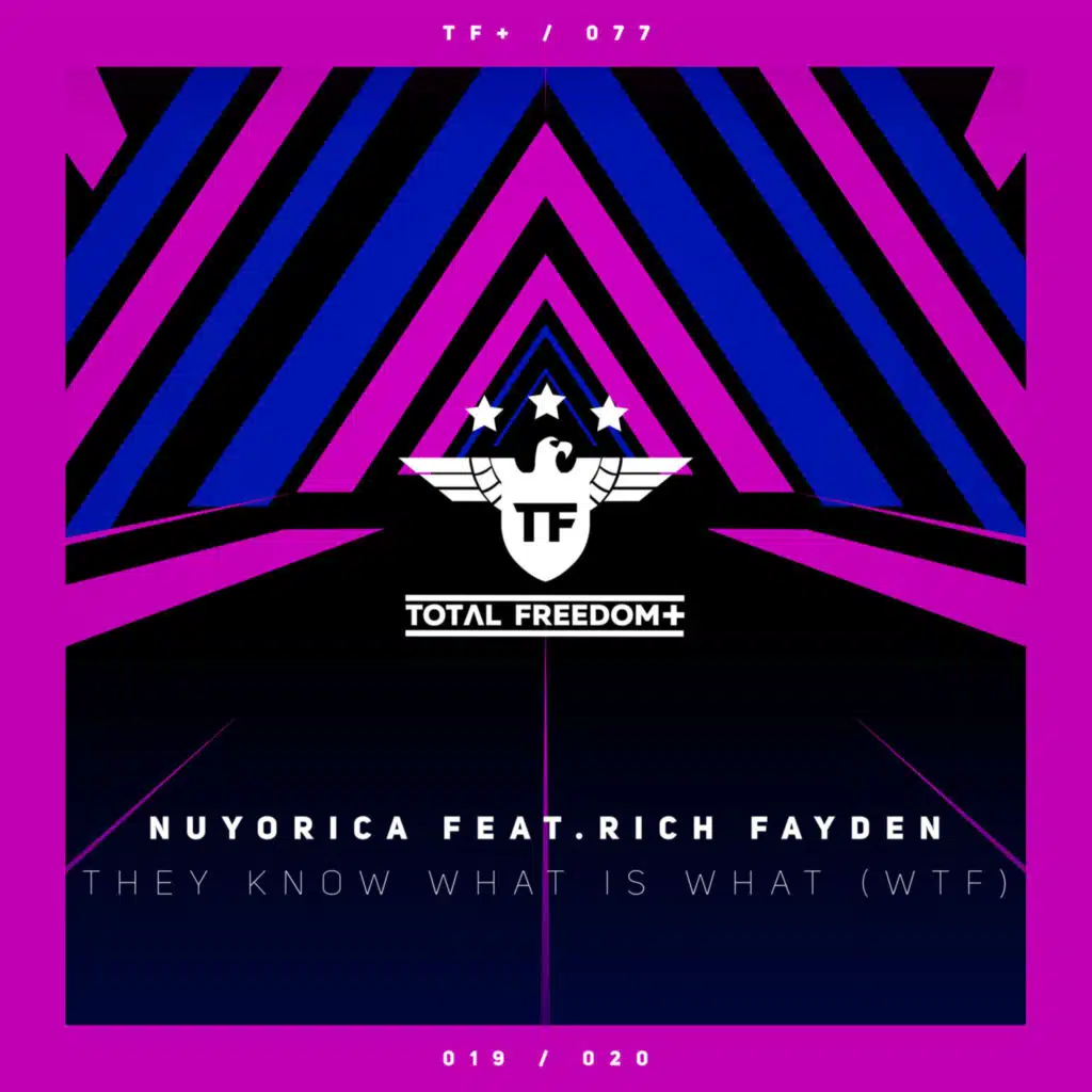 They Know What Is What (WTF) (Extended Mix)