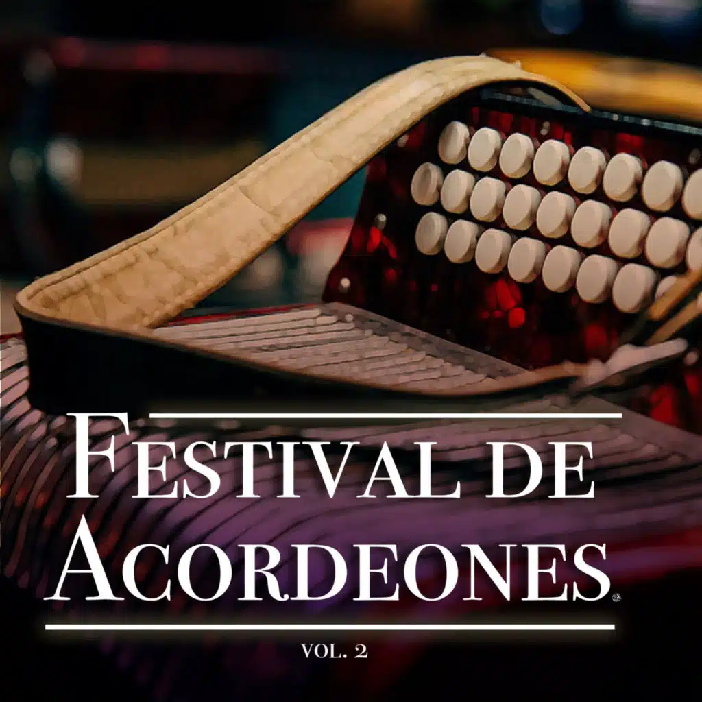 Festival De Acordeones, Vol. 2