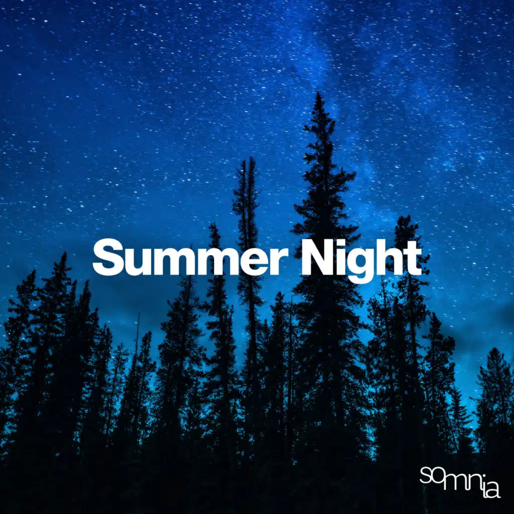 Summer Night