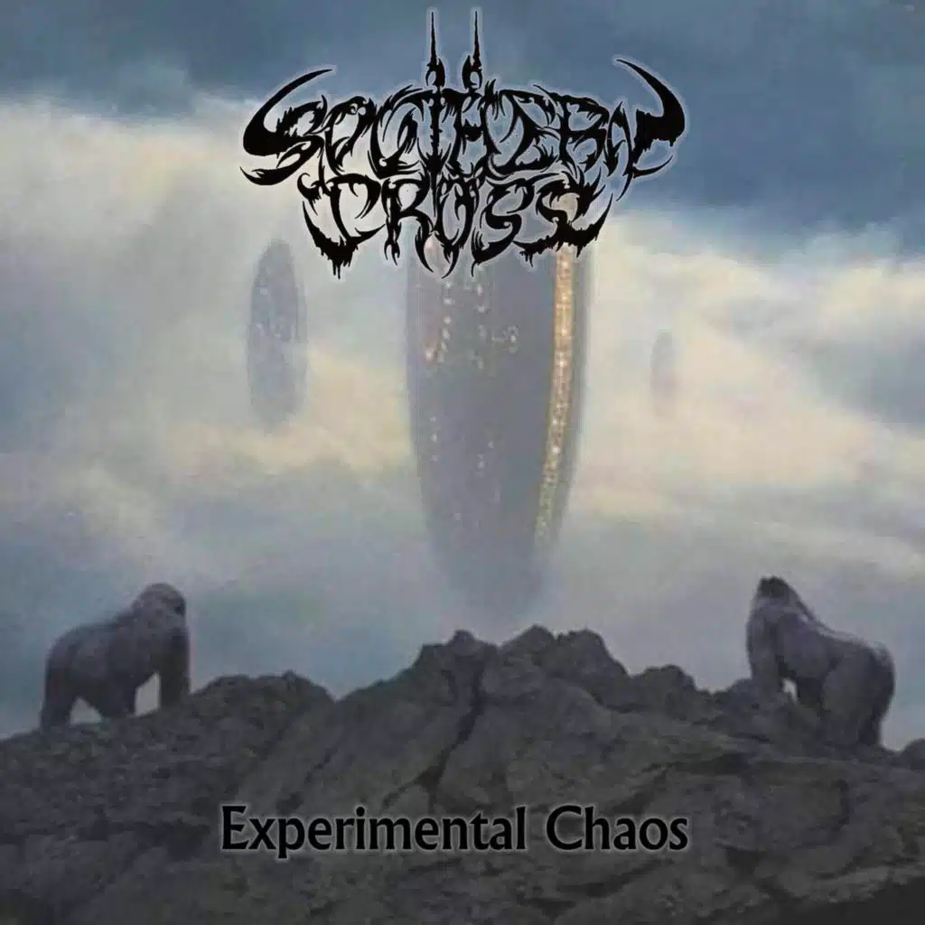 Experimental Chaos