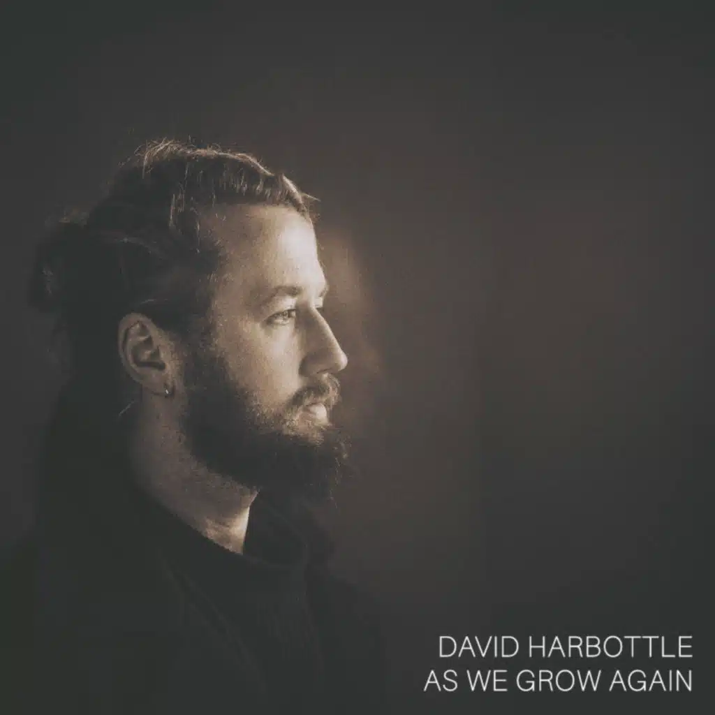 David Harbottle