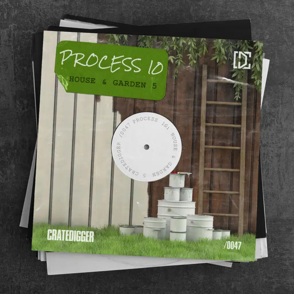 PROCESS 10 (House & Garden 5)
