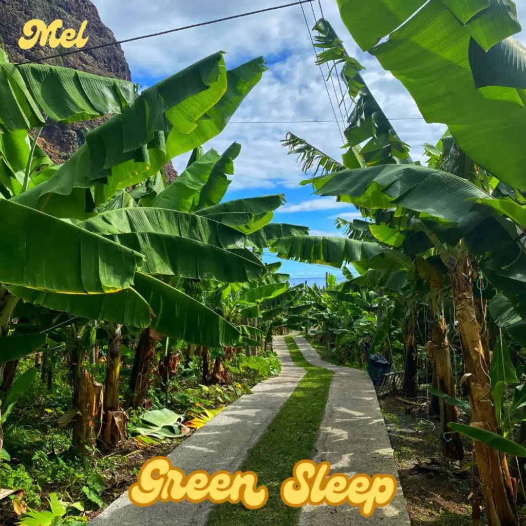 Green Sleep