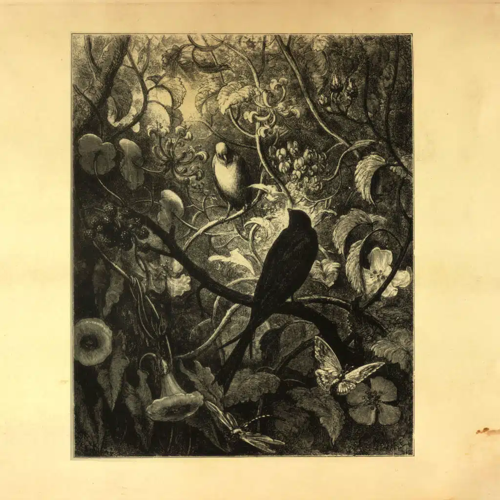 Singular (It's A Fine Line Mix) [feat. Matias Aguayo]