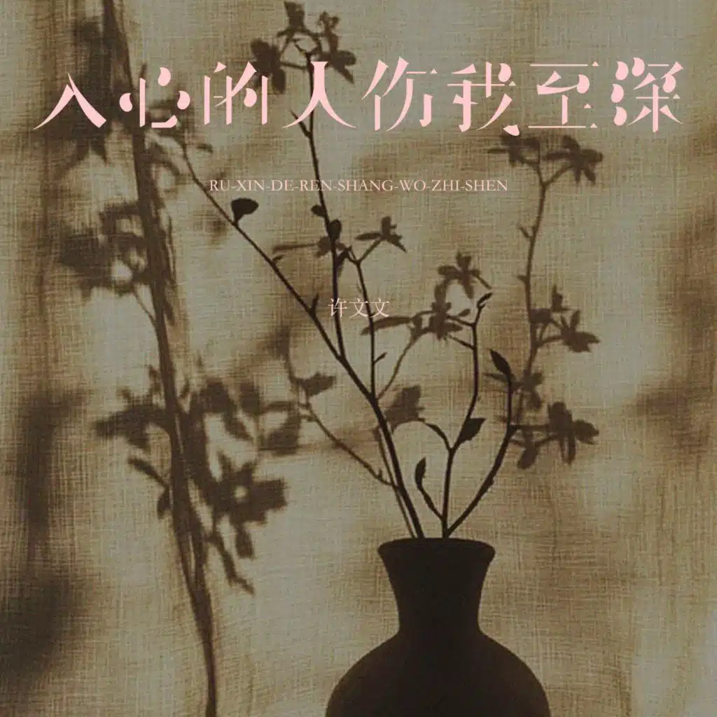 入心的人伤我至深