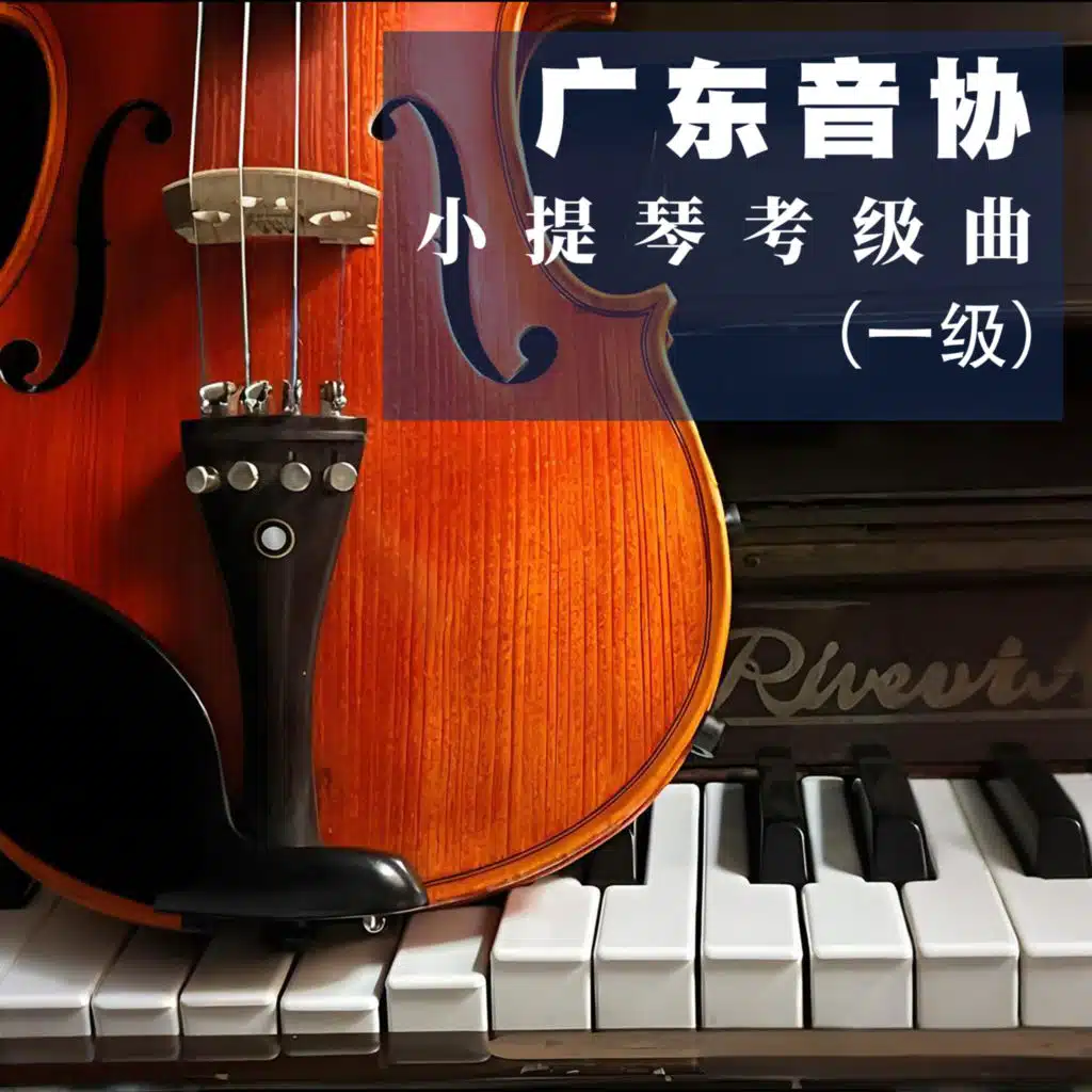 广东省音协小提琴考级曲 小提琴独奏 小提琴练习曲 小提琴经典音乐