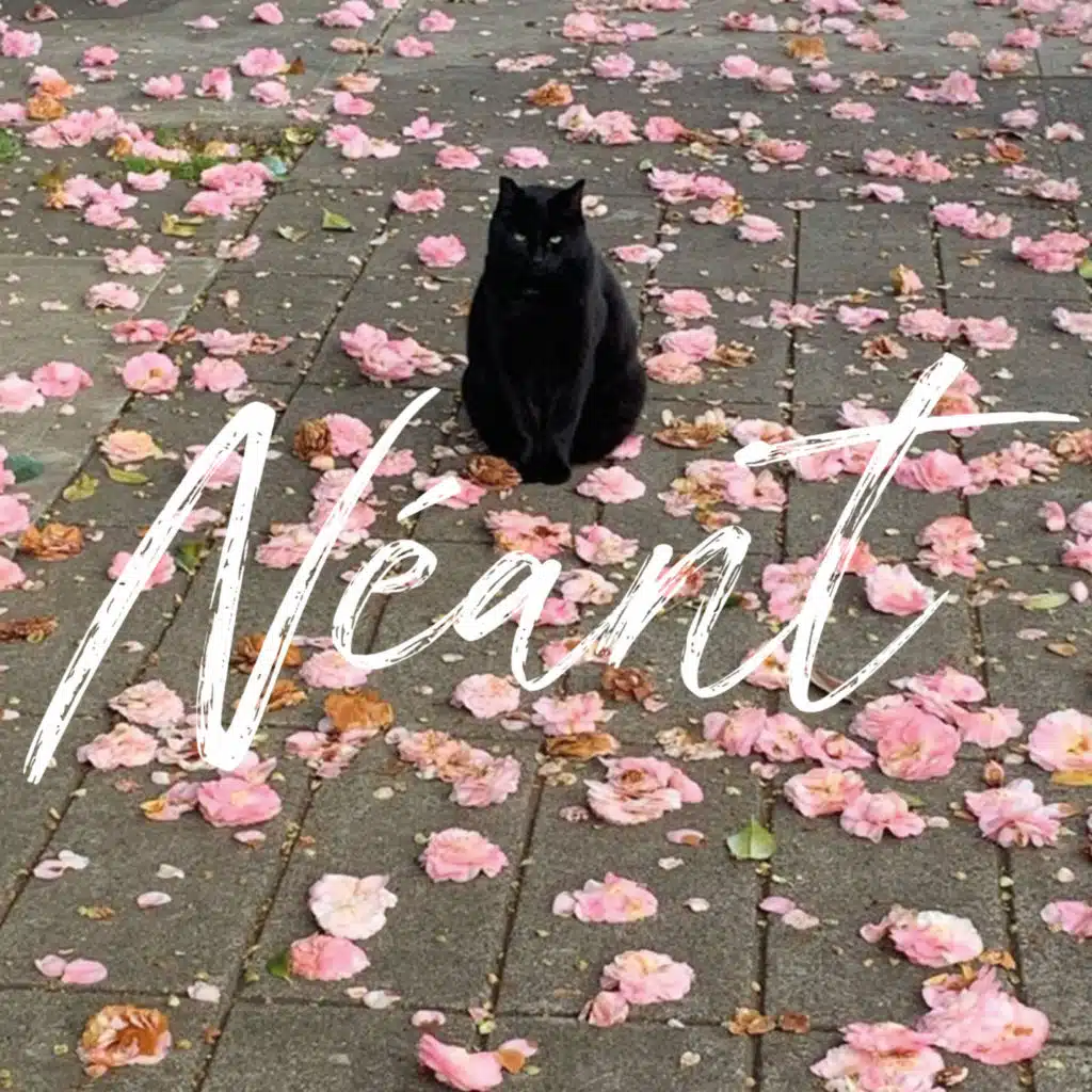 Self-titled (EP) [feat. Non Serviam & kariti]