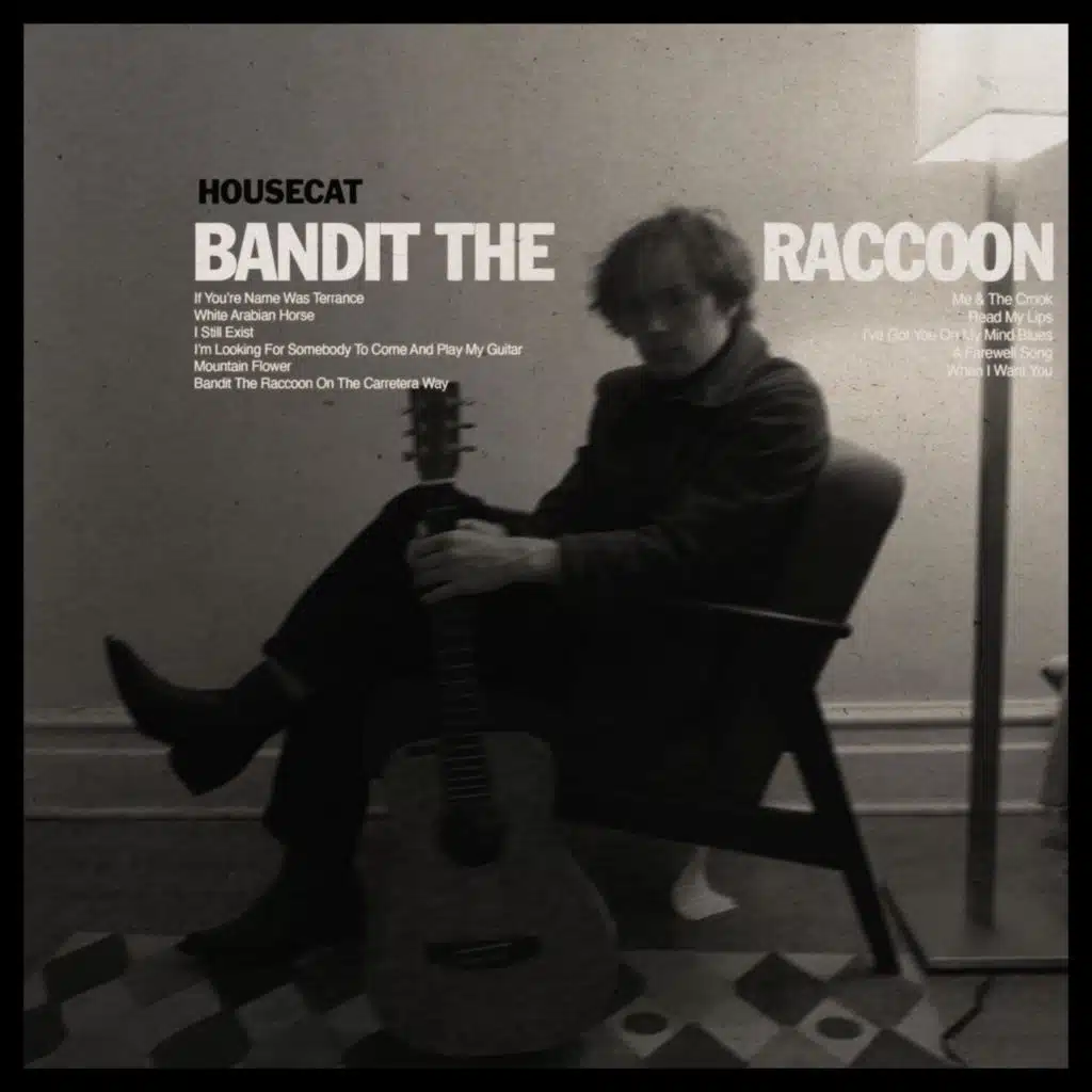 Bandit, The Raccoon
