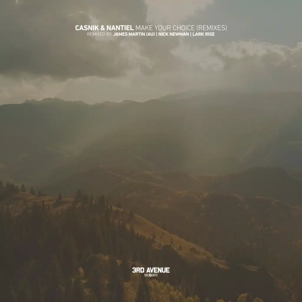 Make Your Choice (Remixes)