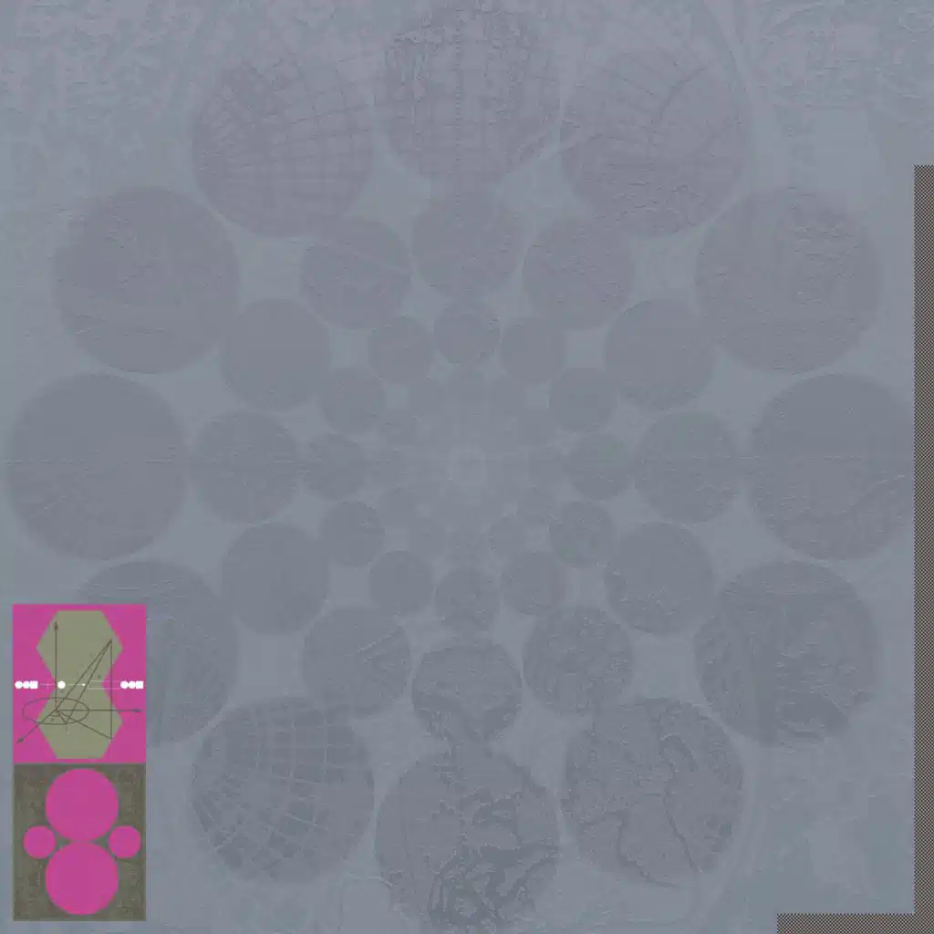 Pigeons / Transit Limb