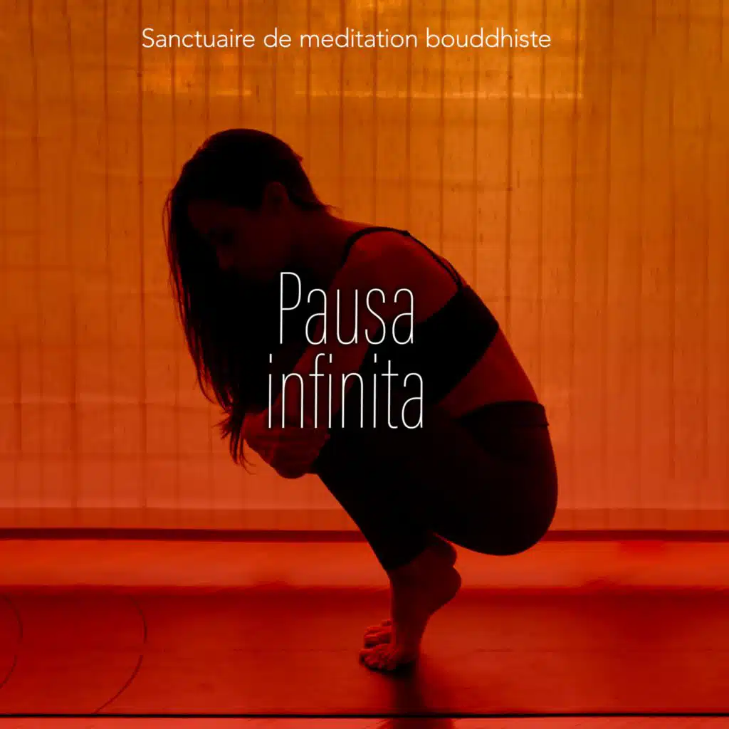 Pausa infinita