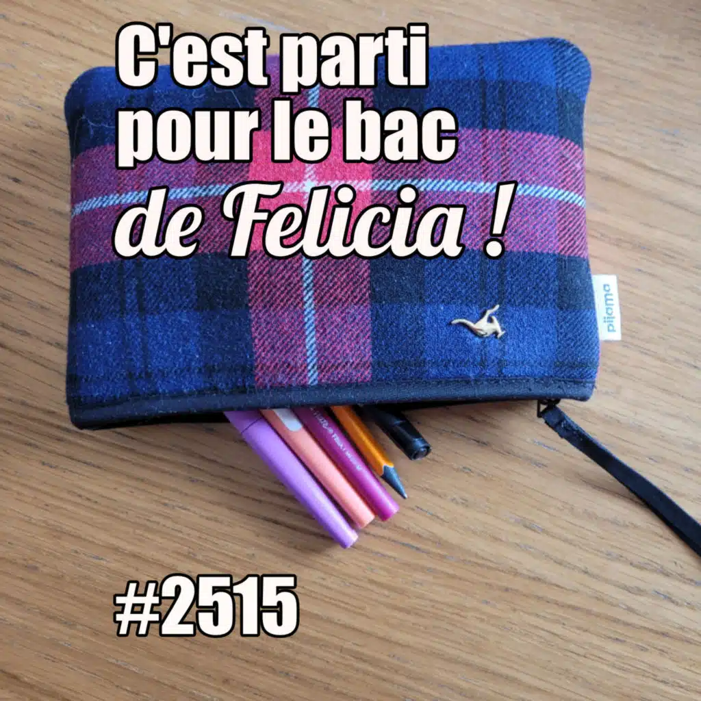 2515 — C’est parti pour le bac de Felicia — mercredi&nbsp;28&nbsp;mai 2025