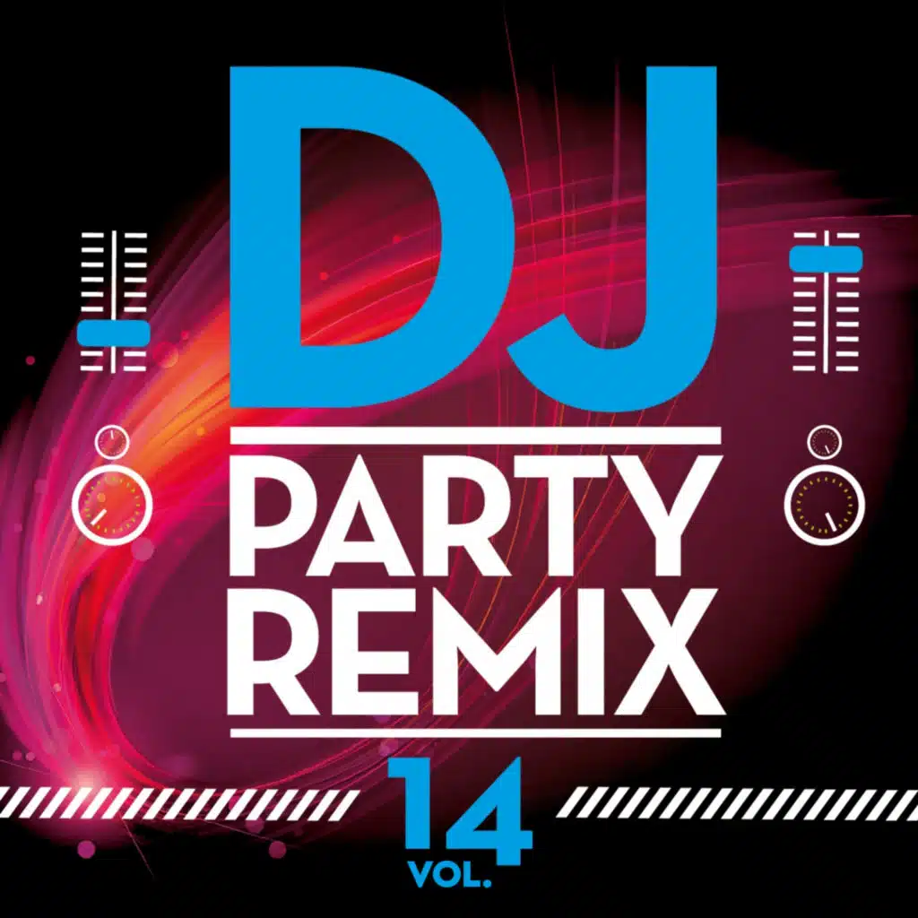 Dj Party Remix, Vol. 14