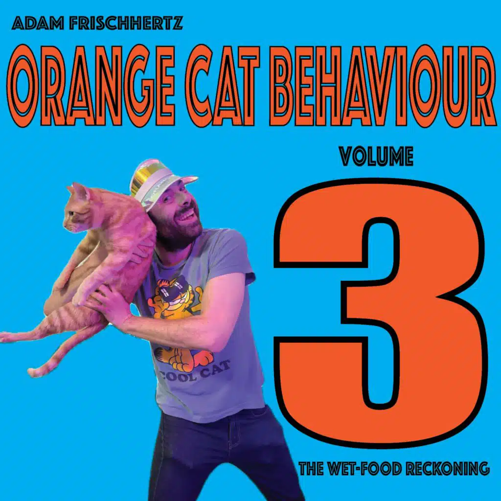 Orange Cat Behaviour, Vol. 3: “The Wet-Food Reckoning”
