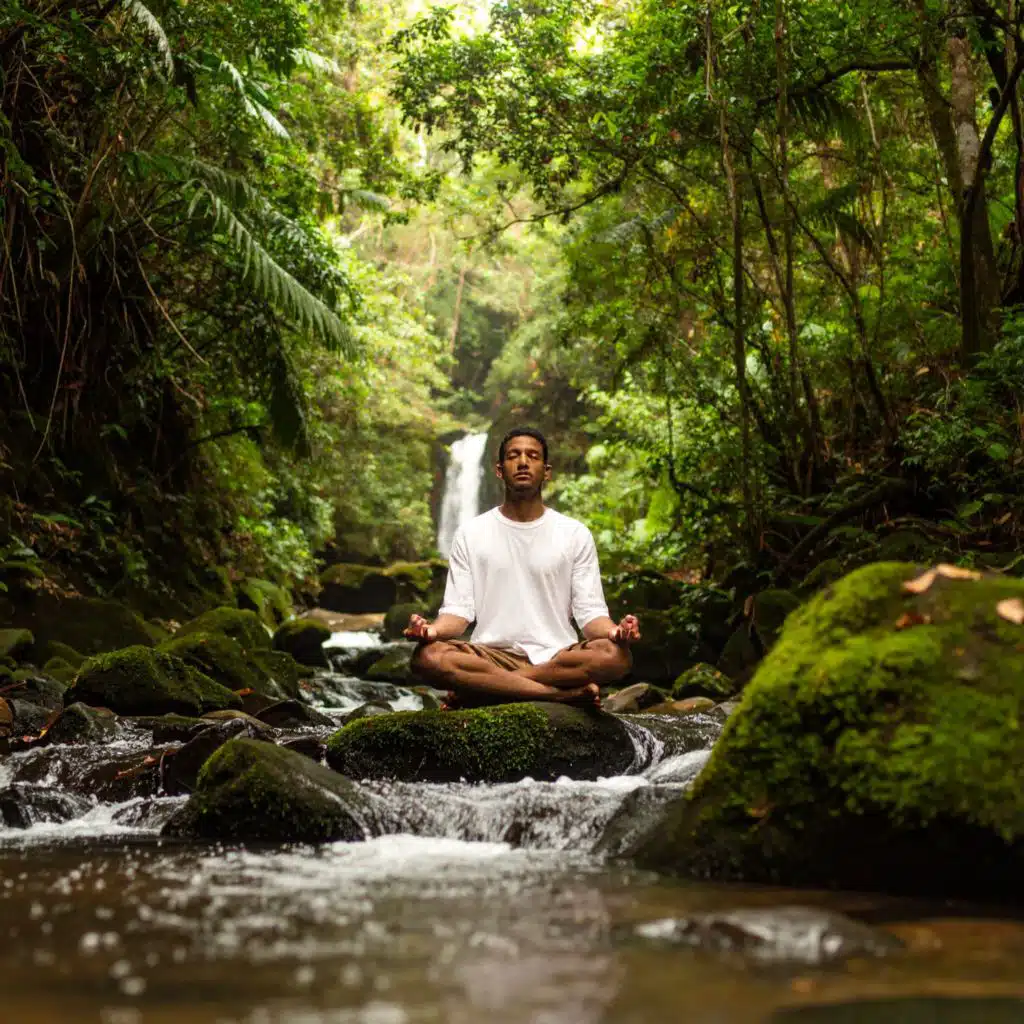 Meditación Orquestal Para Energía Equilibrada