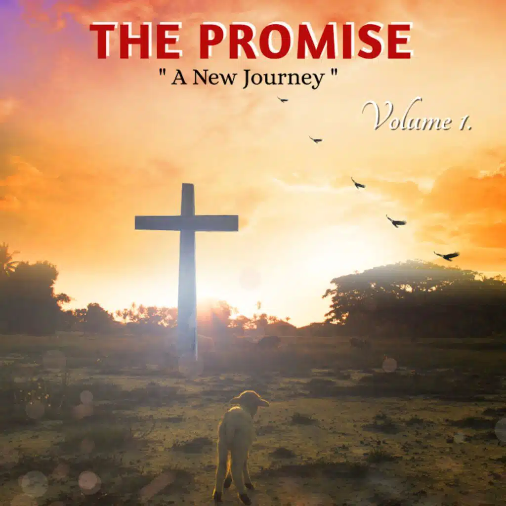 The Promise (A New Journey, Vol. 1)