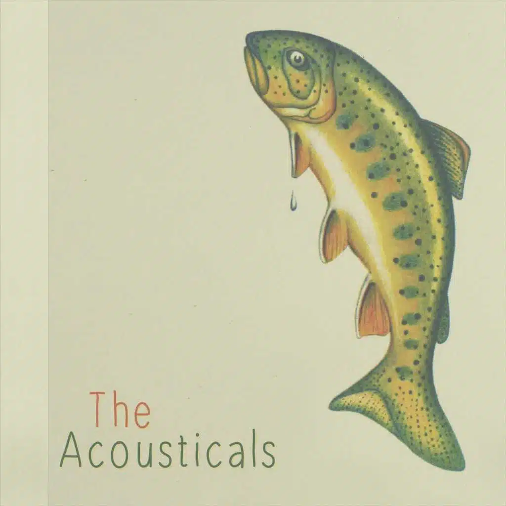 The Acousticals