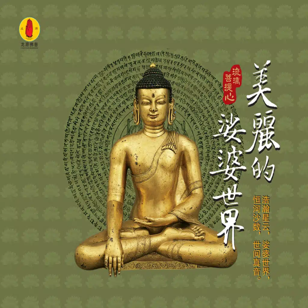 美丽的娑婆世界 (龙源佛音系列)