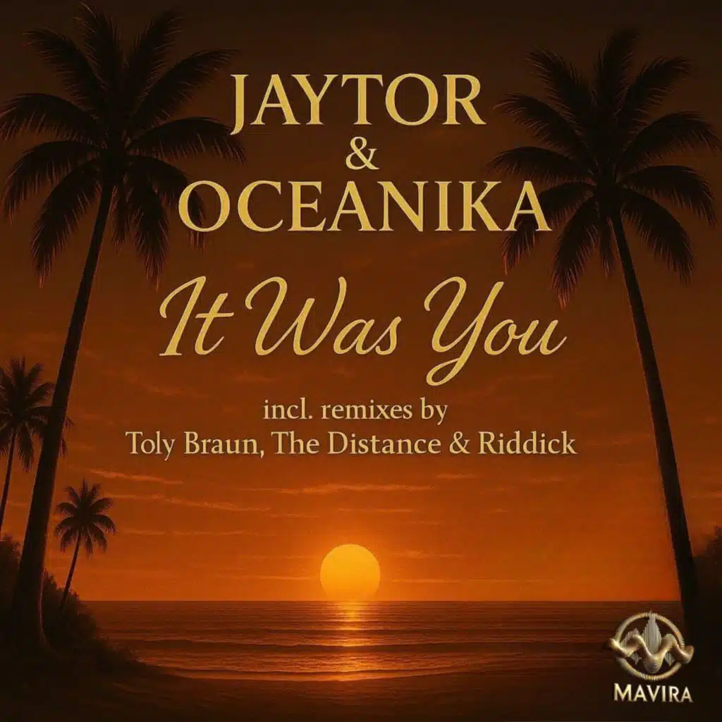 It Was You (Toly Braun Remix)