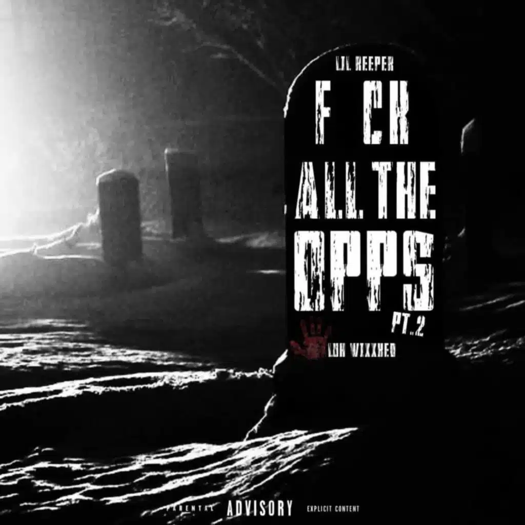 FUCK ALL DA OPPS PR2 (feat. 8lifer)