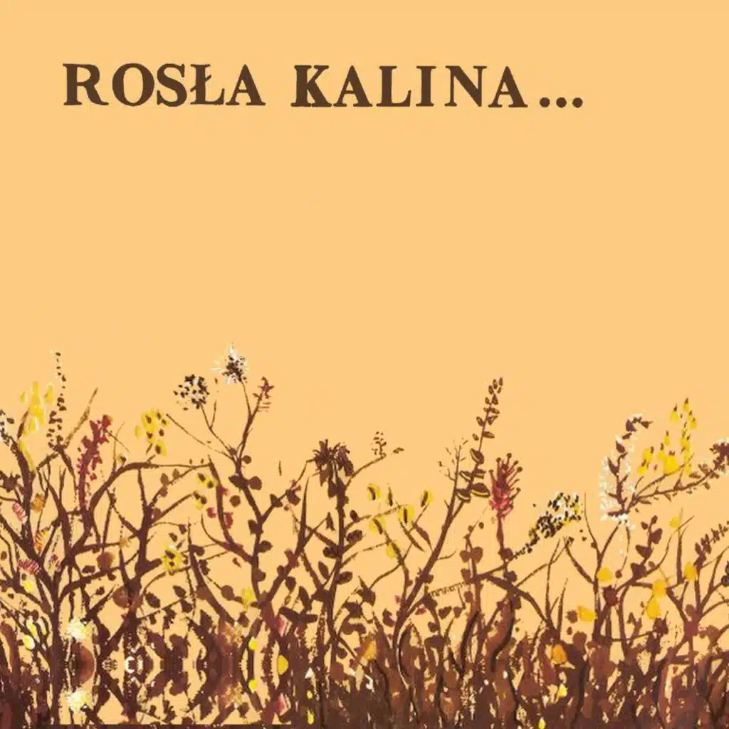 Rosła Kalina