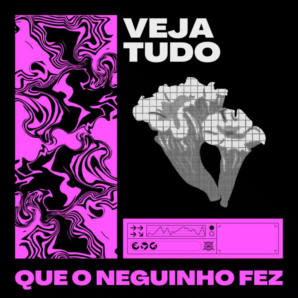 VEJA TUDO QUE O NEGUINHO FEZ