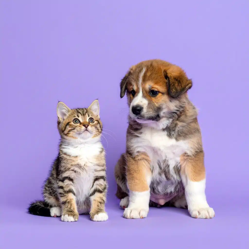 Notas En Perfecta Armonía