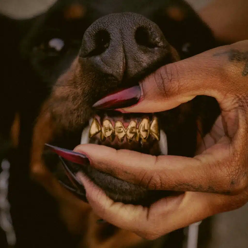 Leon Thomas & Axlfolie