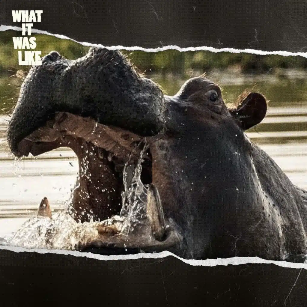 I Got Eaten By a Hippopotamus