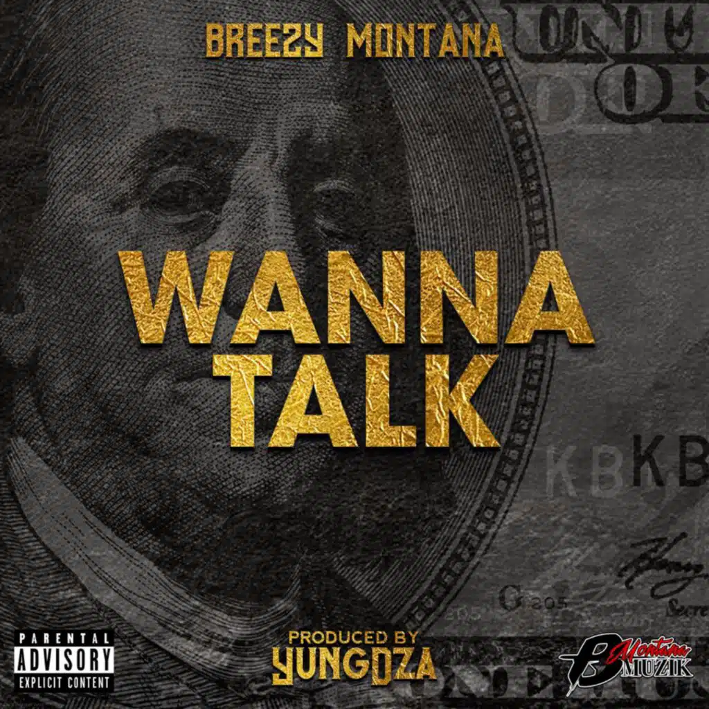 Wanna Talk