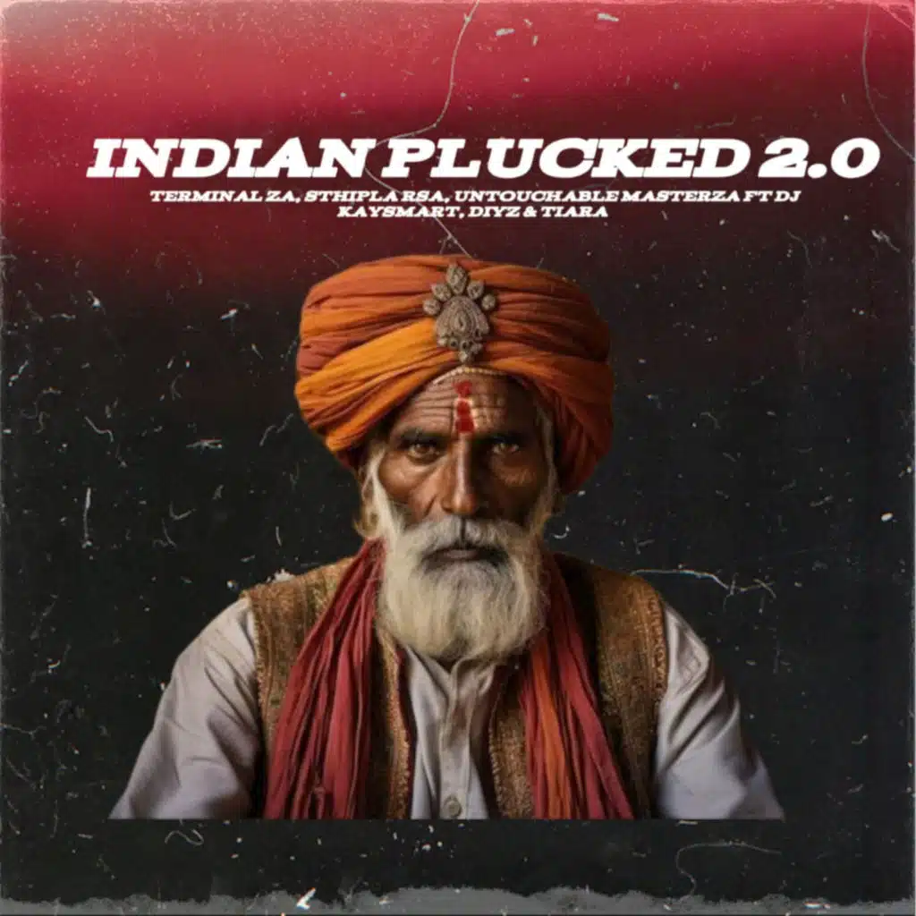 Indian Plucked 2.0 (feat. DJ Kaysmart, DIYZ & Tiara)