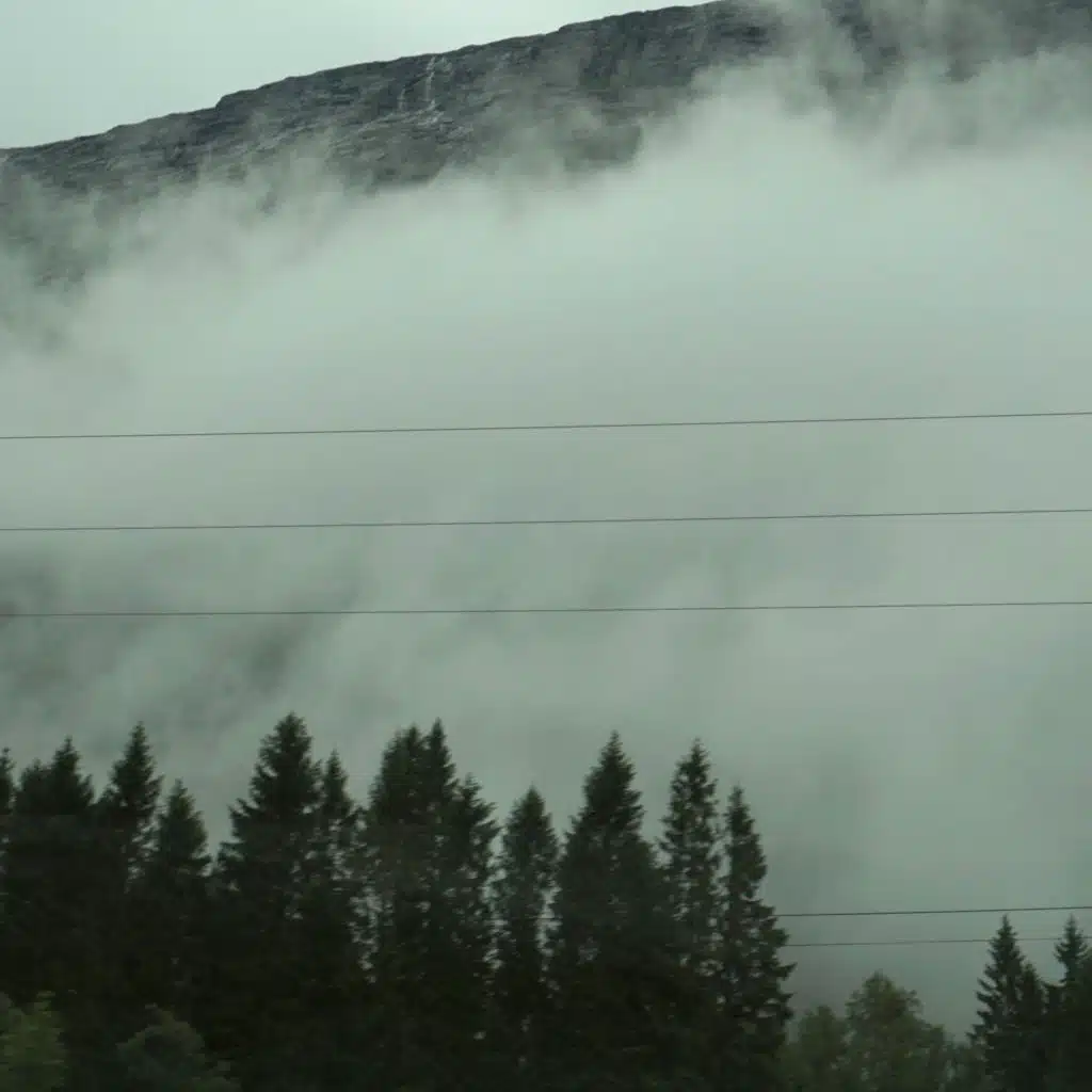 Wandering Mind, Drifting Weather