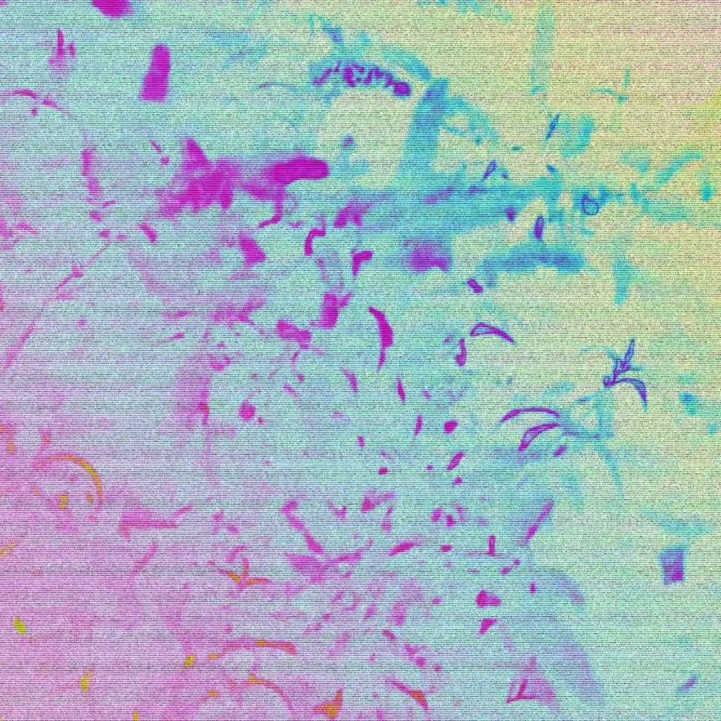 STAY LIT, Lofi Night Drives & LoFi Bear