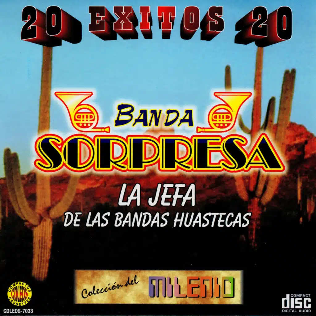 Banda Surpresa