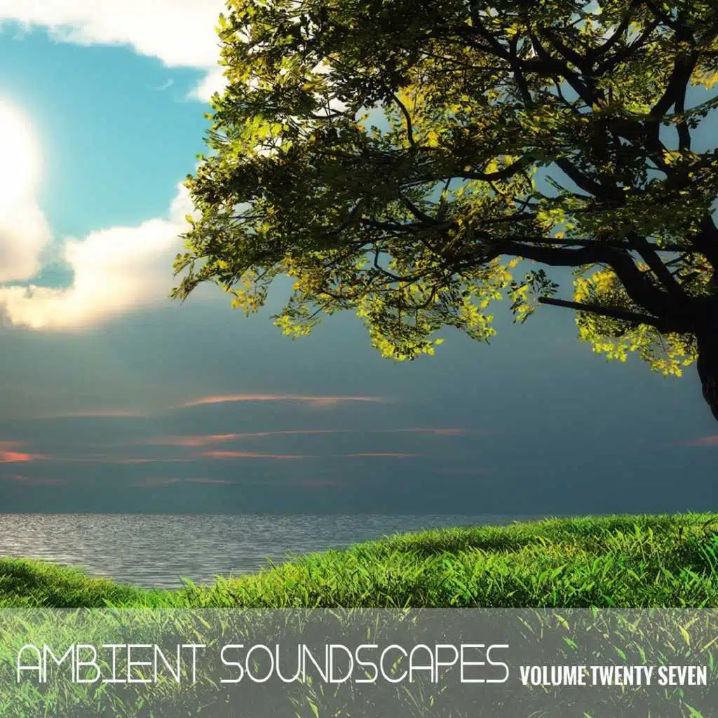 Ambient SoundScapes Vol 27