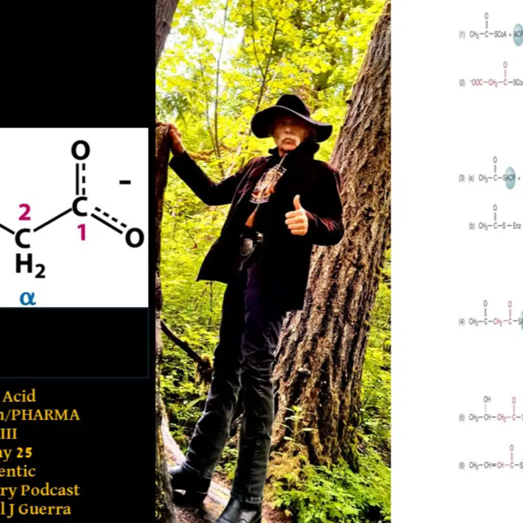 Fatty Acid Metabolism/PHARMA XVIII.30May 25. Authentic Biochemistry Podcast. Dr. Daniel J Guerra