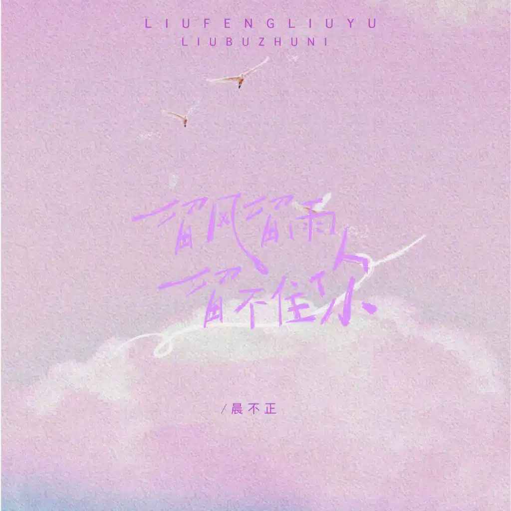 留风留雨留不住你