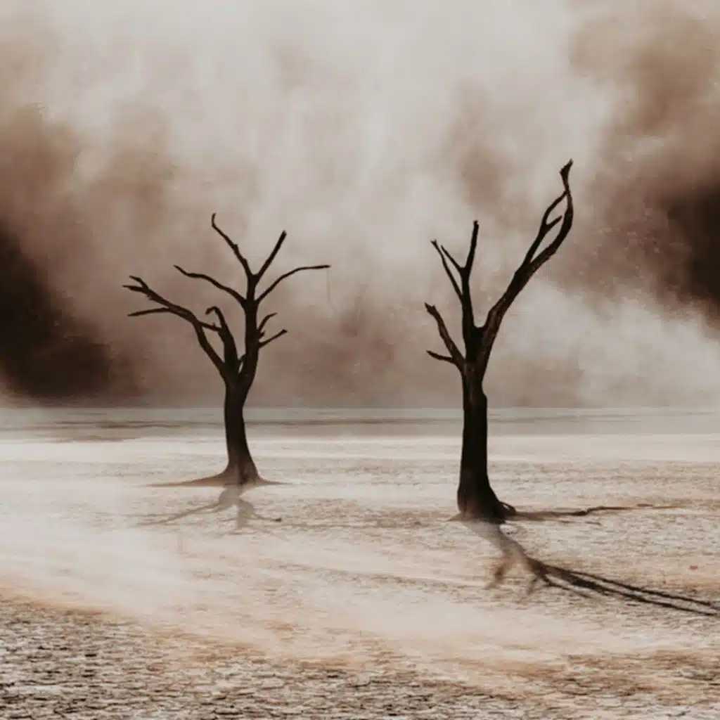 Kimim Varki Senden Başka