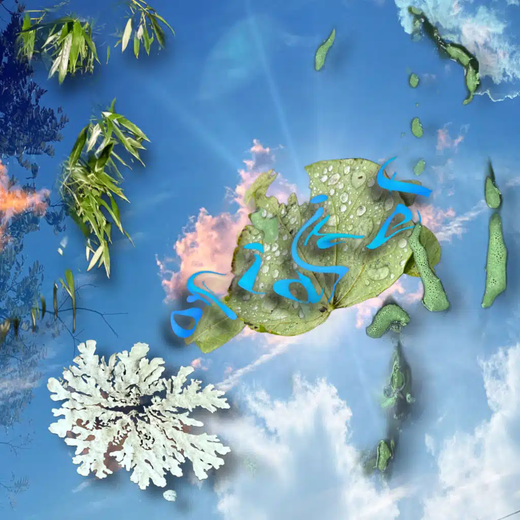 adventure between friends