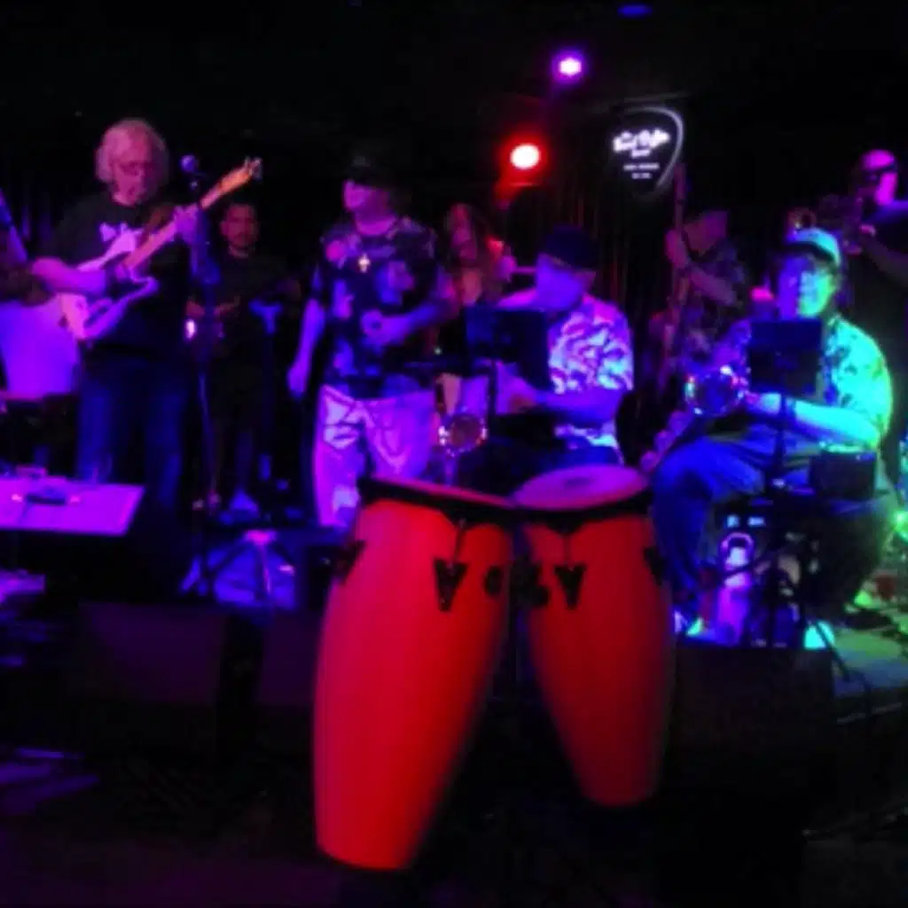 The Spectators Live at Sand Dollar II