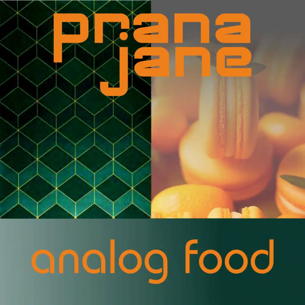 Analog Food
