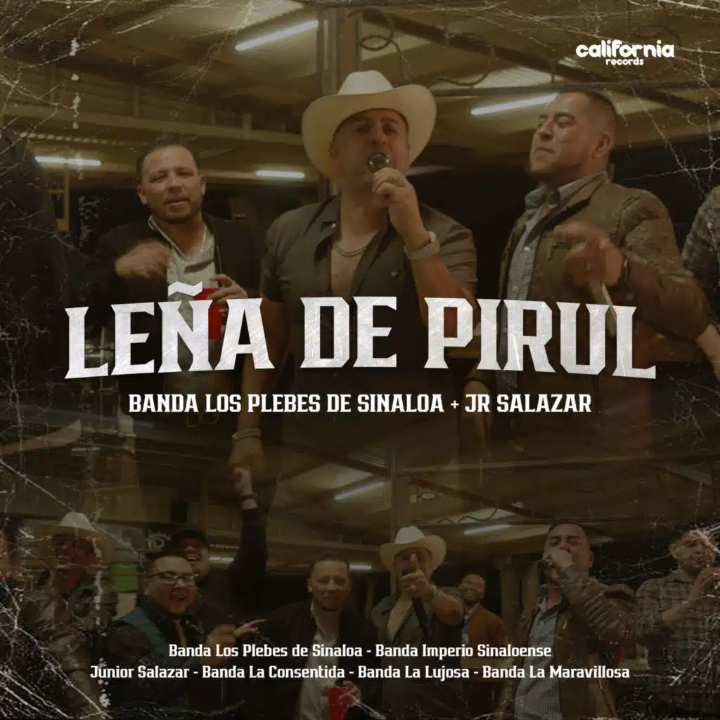 Leña De Pirul