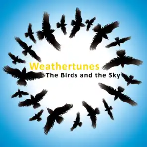 The Birds And The Sky