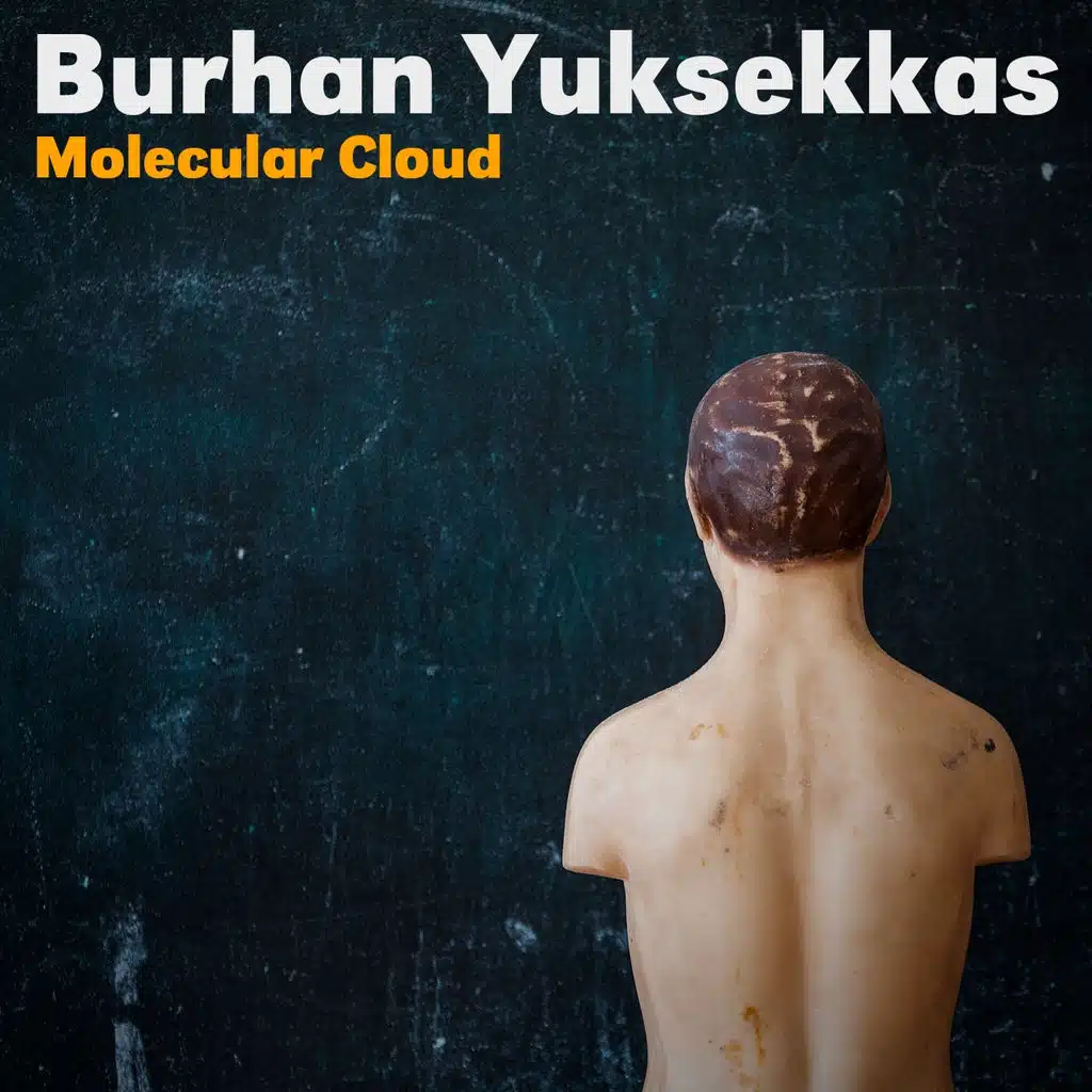 Burhan Yuksekkas