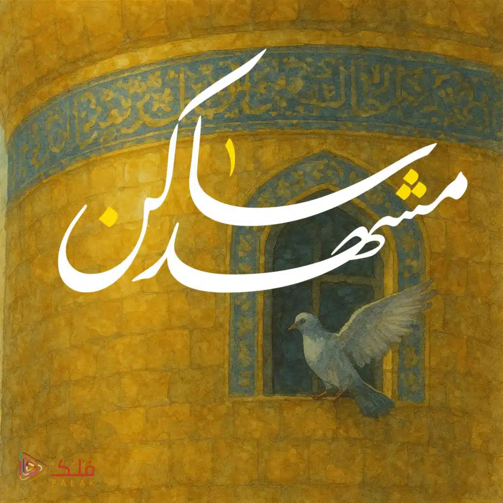 ساكن مشهد (مع فلك ميديا)