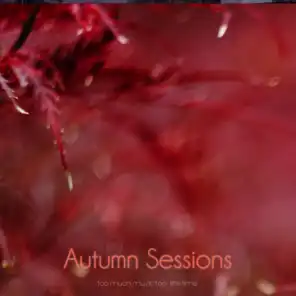 Autumns Sessions (So Much Music Too Little Time)