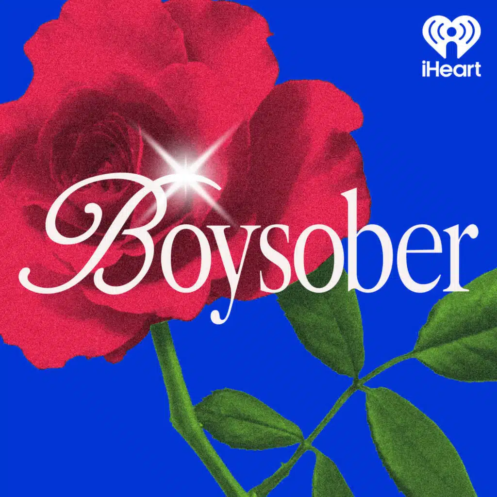 Introducing: Boysober