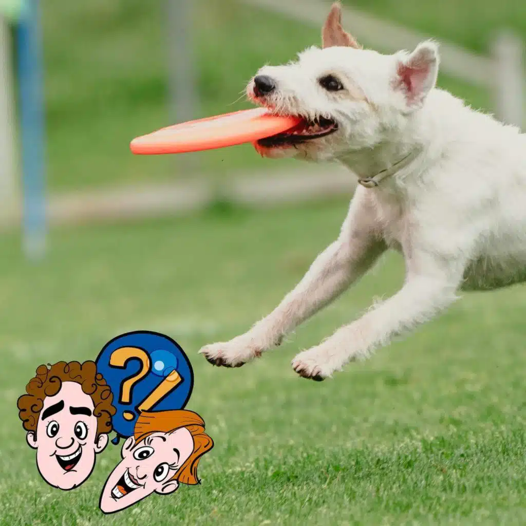 Teller, Pfannkuchen, Pappe – was kann man alles als Frisbee benutzen?